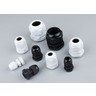 Connectors & Glands