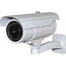 IP Cameras